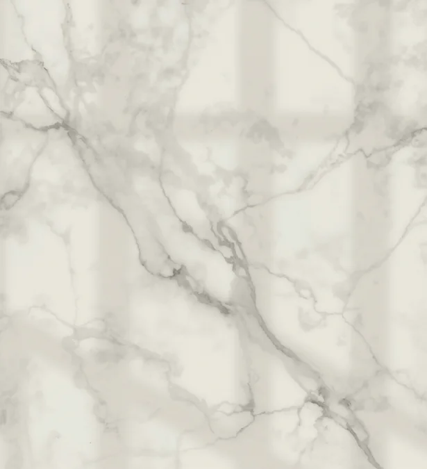 Ambaji white marble with soft grey veining, framed by a tall arch