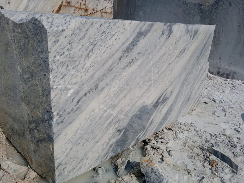 Harkishan Panther marble block with dark diagonal veining over a white ground